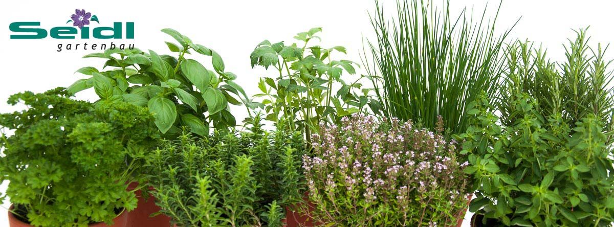 Seidl Gartenbau Stellenanzeige