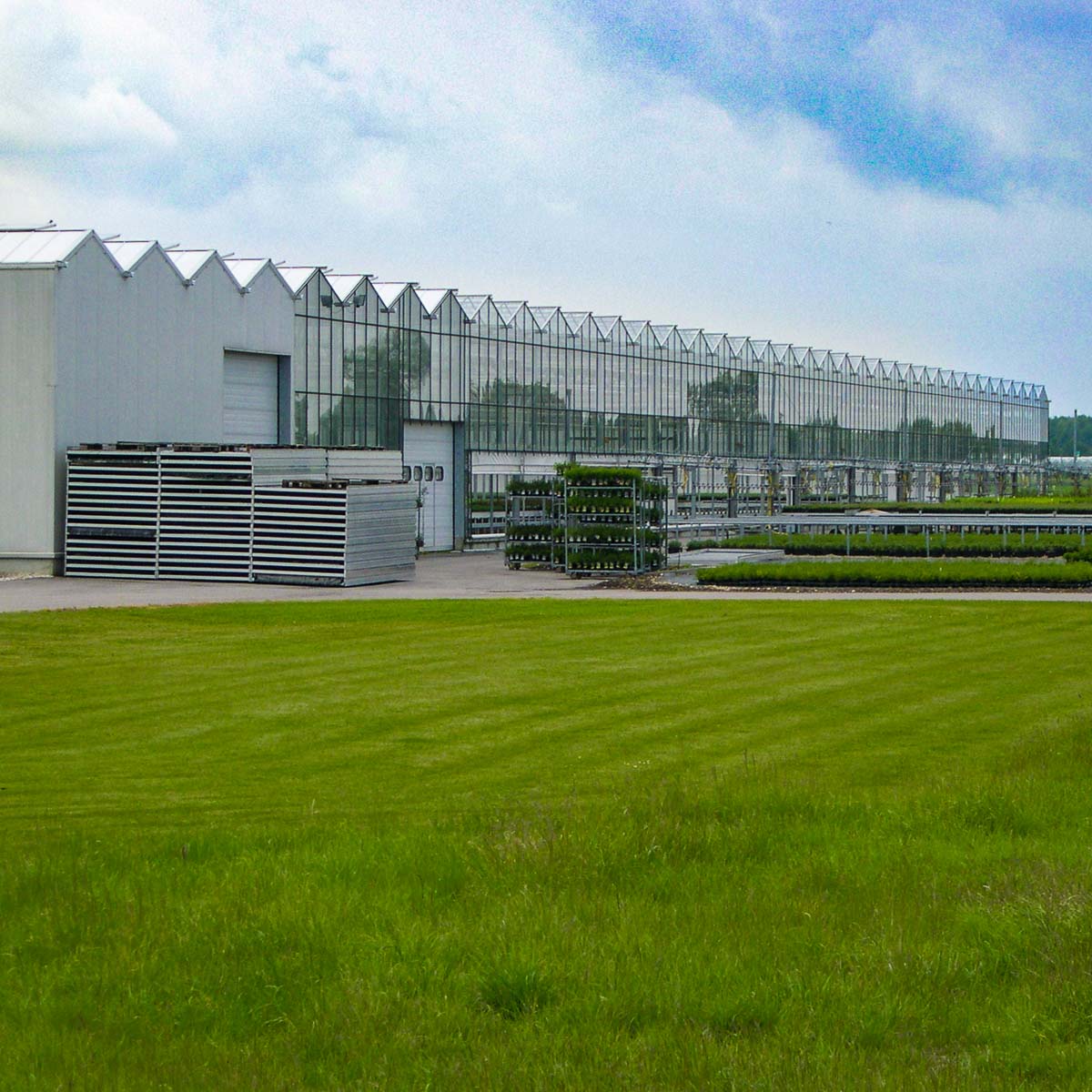 Betriebsansicht Helix Pflanzen GmbH / Müller Gartenbau KG - Freiland