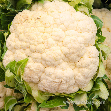 Brassica oleraceae Blumenkohl Beitragsbild