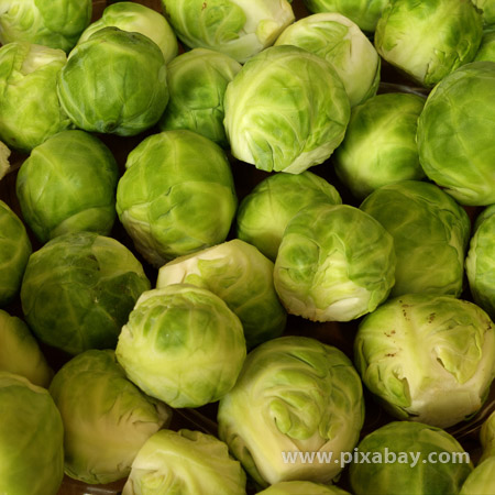 Brassica oleraceae Rosenkohl Beitragsbild