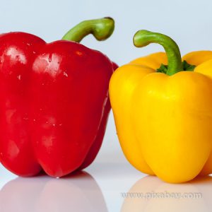 Capsicum annuum Paprika Beitragsbilder