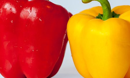 Capsicum annuum Paprika Beitragsbilder