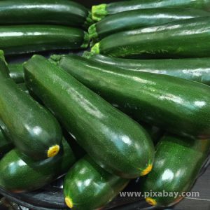 Cucurbita pepo Zucchini Beitragsbild