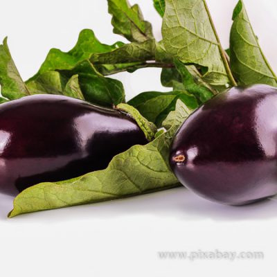 Solanum melongena Aubergine Beitragsbild