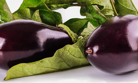 Solanum melongena Aubergine Beitragsbild