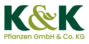K & K Pflanze GmbH & Co KG